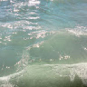 Meet your Posher, Sophie